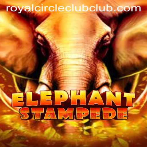 An Exciting Journey into ElephantStampede: The Royal Circle Club's Newest Sensation